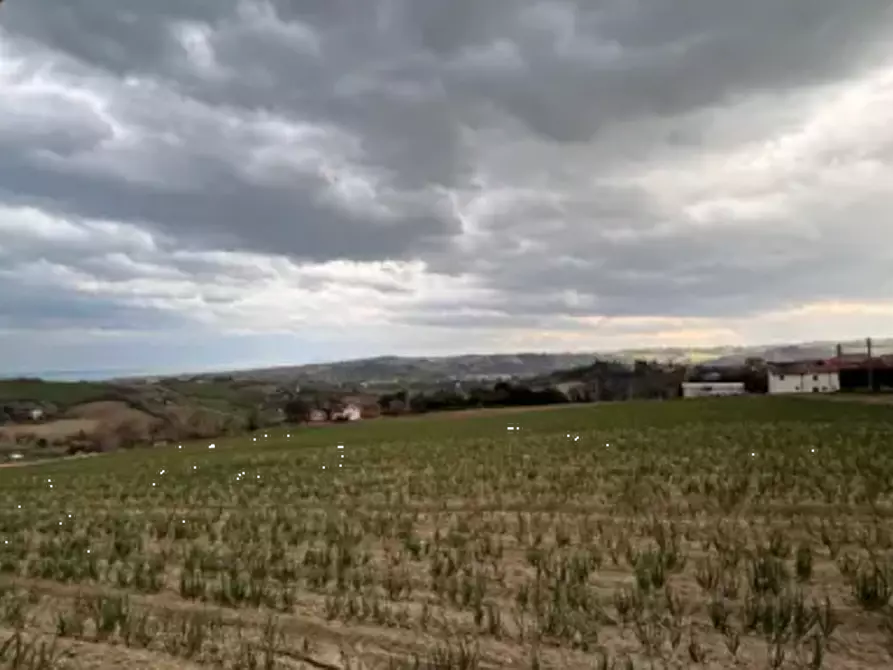 Immagine 4 di Terreno edificabile in vendita  in Via Buona Cesta Maggiore a Mondolfo