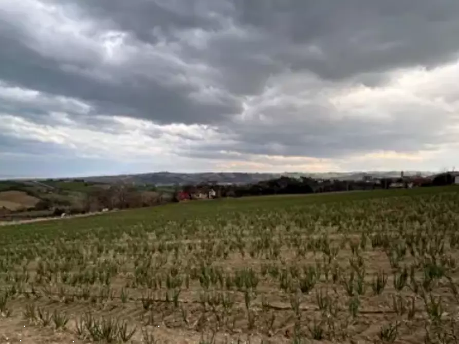Immagine 5 di Terreno edificabile in vendita  in Via Buona Cesta Maggiore a Mondolfo