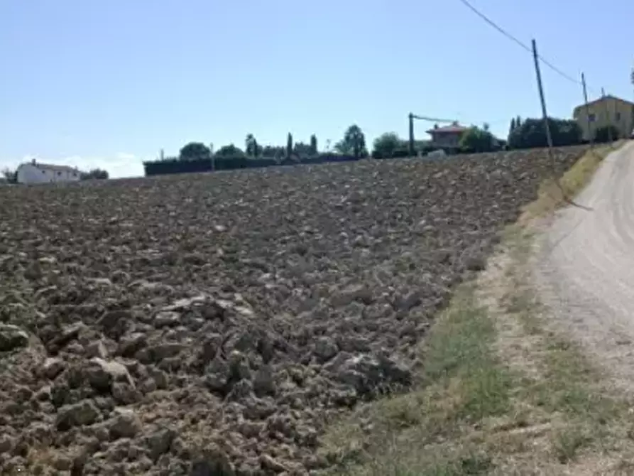 Immagine 9 di Terreno edificabile in vendita  in Via Buona Cesta Maggiore a Mondolfo