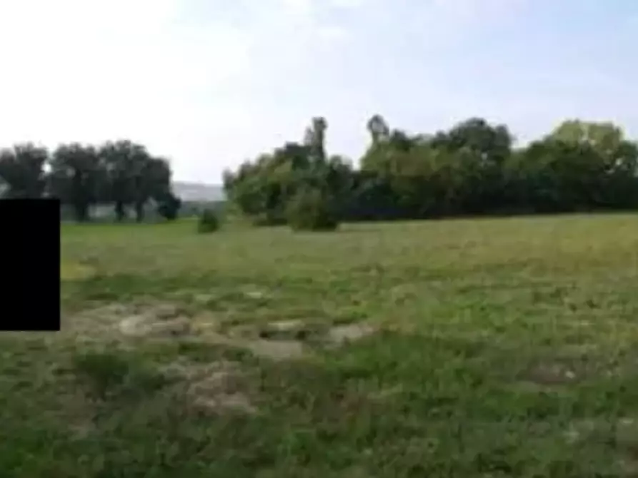 Immagine 1 di Terreno edificabile in vendita  in Località Mondavio a Mondavio