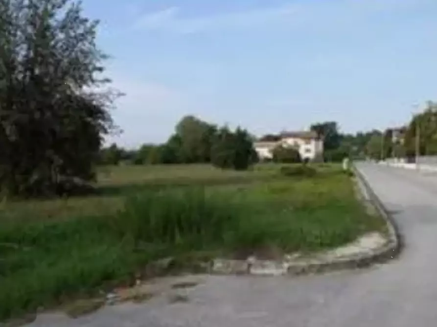 Immagine 4 di Terreno edificabile in vendita  in Località Mondavio a Mondavio