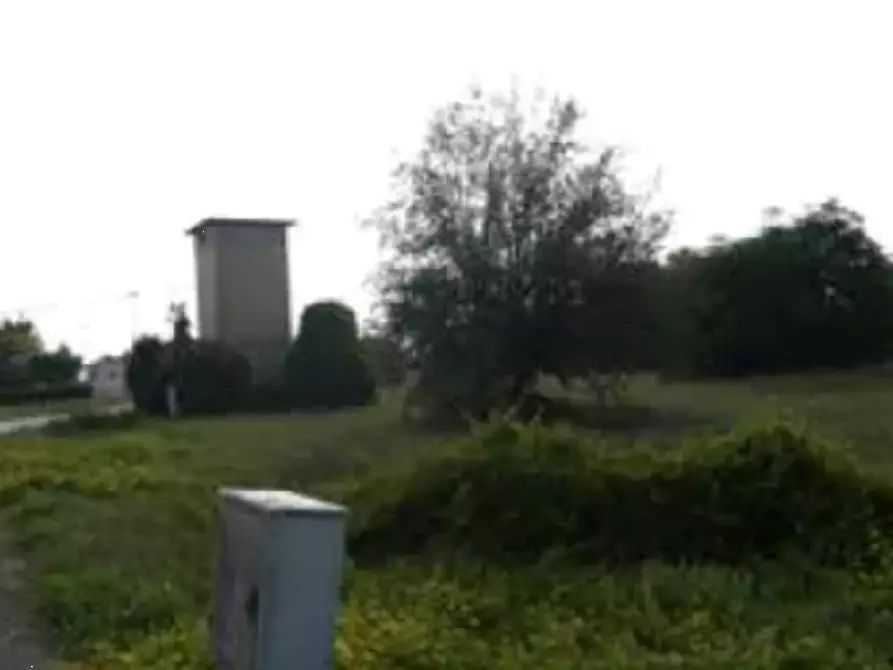 Immagine 5 di Terreno edificabile in vendita  in Località Mondavio a Mondavio