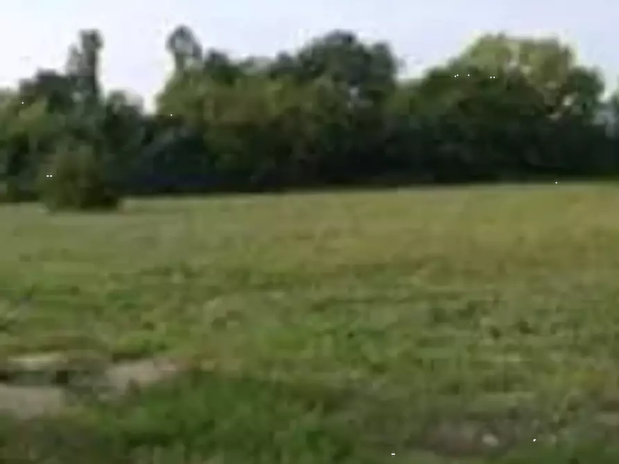 Immagine 7 di Terreno edificabile in vendita  in Località Mondavio a Mondavio