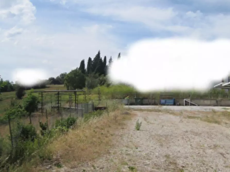 Immagine 3 di Capannone industriale in vendita  in Via Kennedy a Mondavio