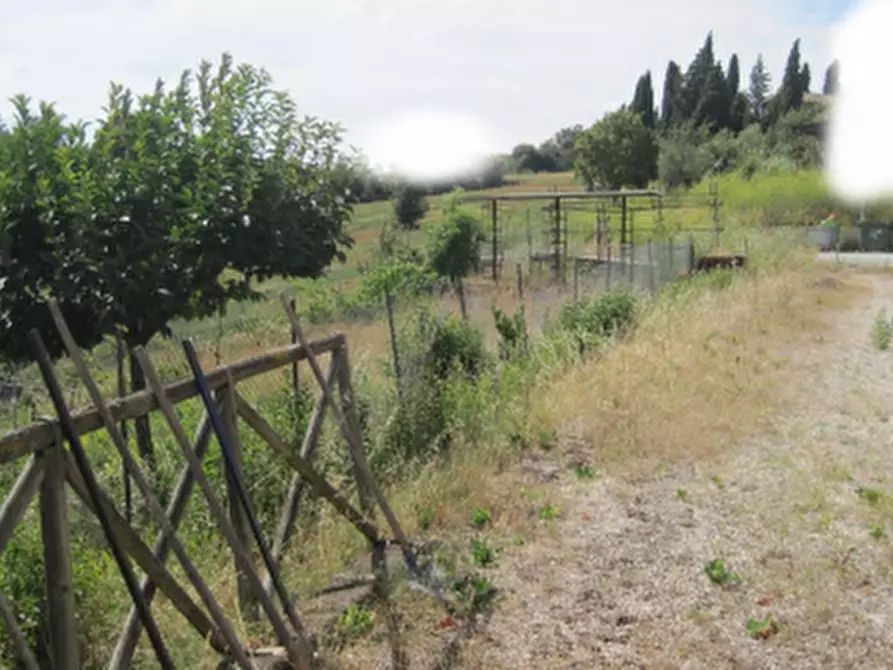 Immagine 4 di Capannone industriale in vendita  in Via Kennedy a Mondavio