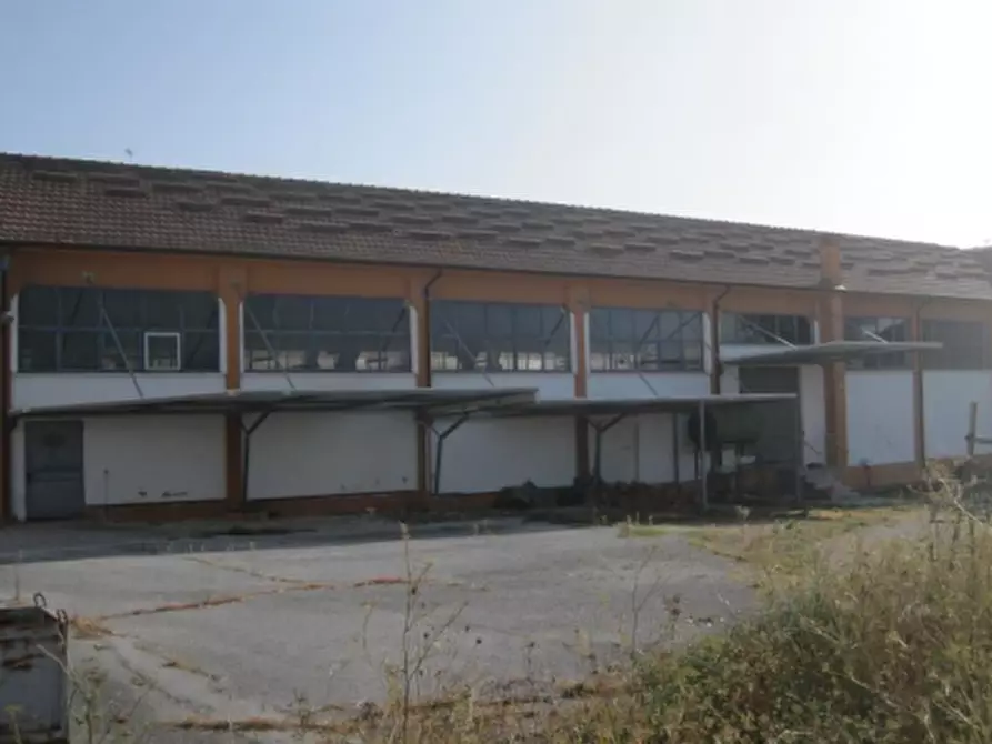Immagine 2 di Capannone industriale in vendita  in Via Kennedy a Mondavio