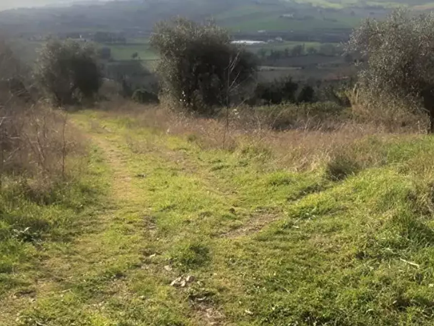 Immagine 3 di Terreno edificabile in vendita  in Via San Savino Granarola a Gradara