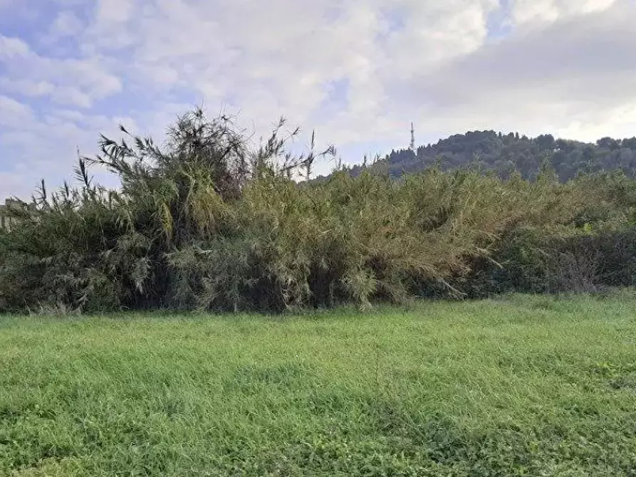 Immagine 1 di Terreno agricolo in vendita  in Via Solferino a Pesaro