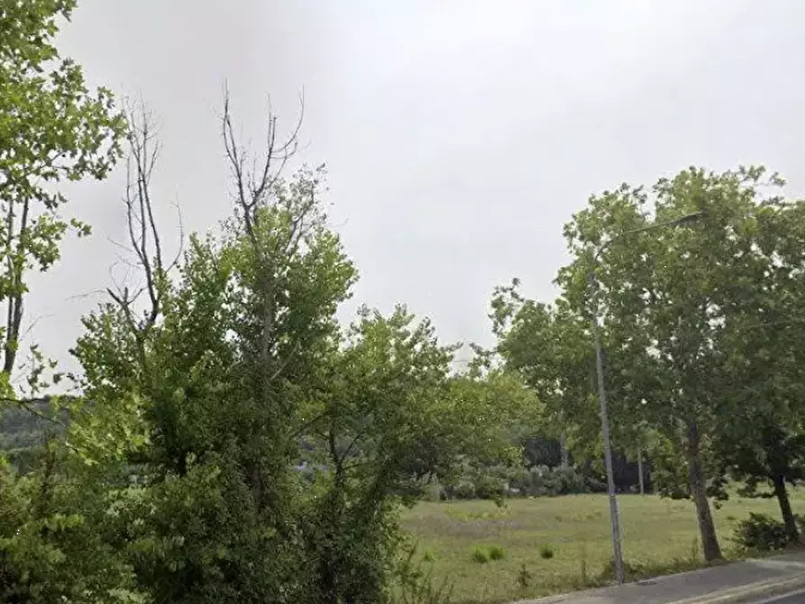 Immagine 6 di Terreno agricolo in vendita  in Via Solferino a Pesaro