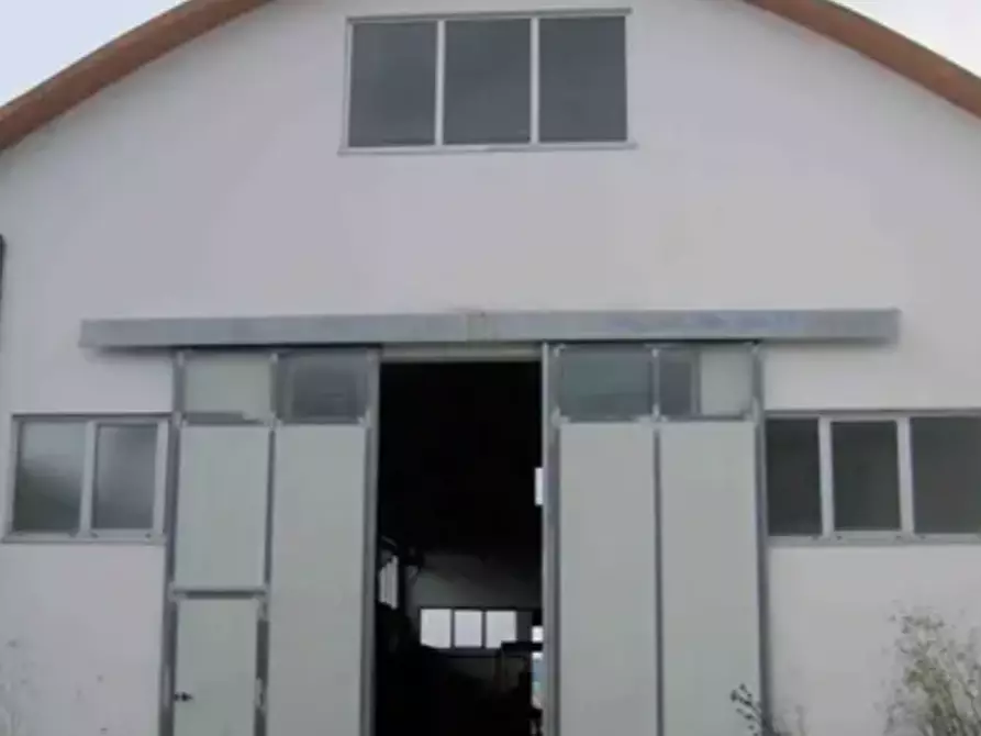 Immagine 1 di Capannone industriale in vendita  in Via Contrada Cappuccini a Mondavio