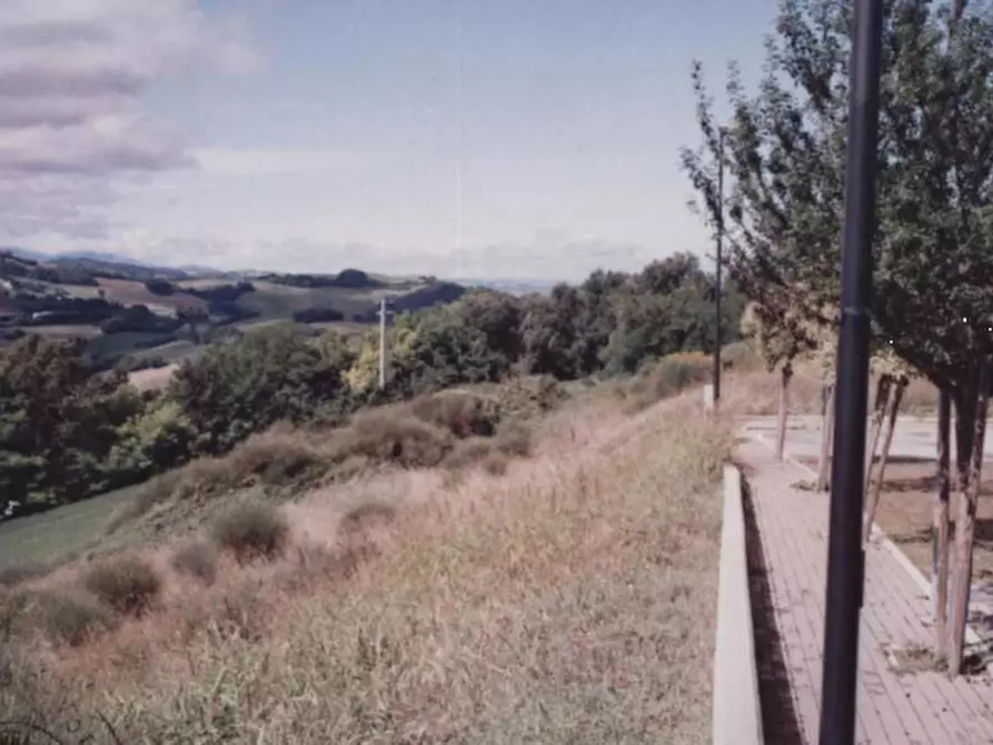 Immagine 4 di Terreno edificabile in vendita  in Località Monte Cipollino a Monteciccardo