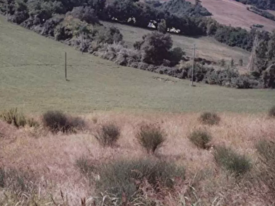 Immagine 6 di Terreno edificabile in vendita  in Località Monte Cipollino a Monteciccardo