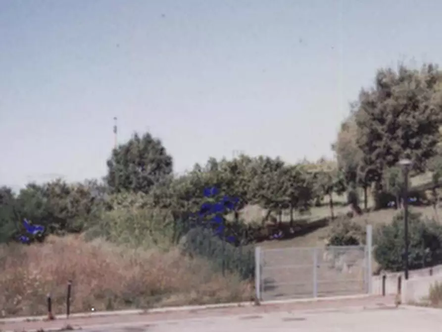 Immagine 9 di Terreno edificabile in vendita  in Località Monte Cipollino a Monteciccardo