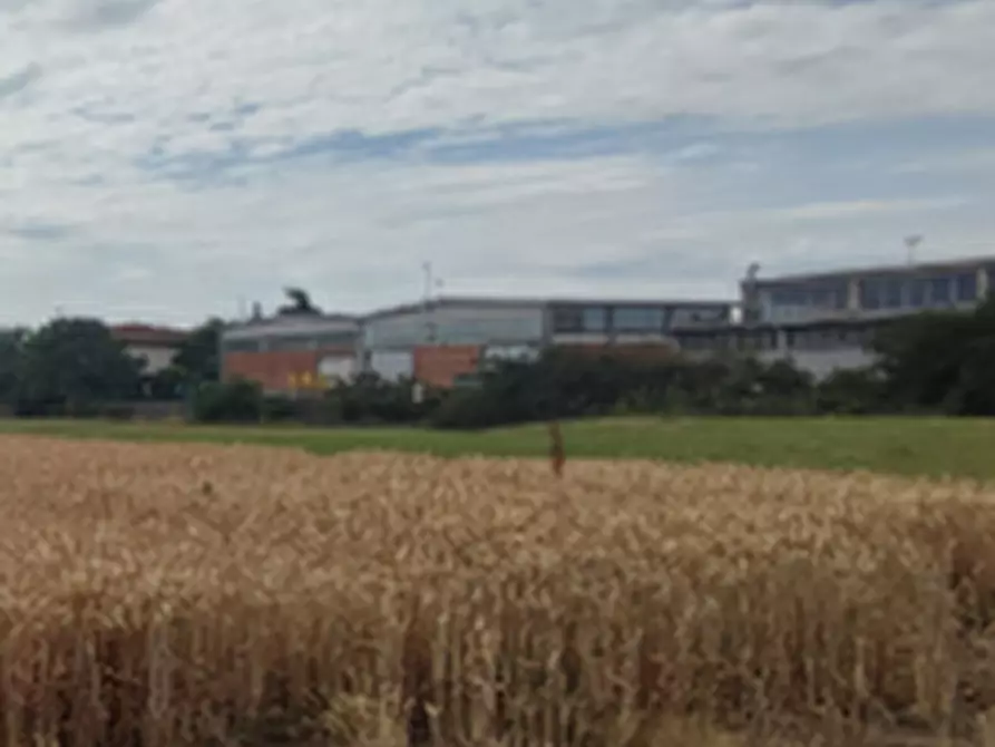 Immagine 1 di Terreno agricolo in vendita  in Localita' Romitaggio a Fontevivo