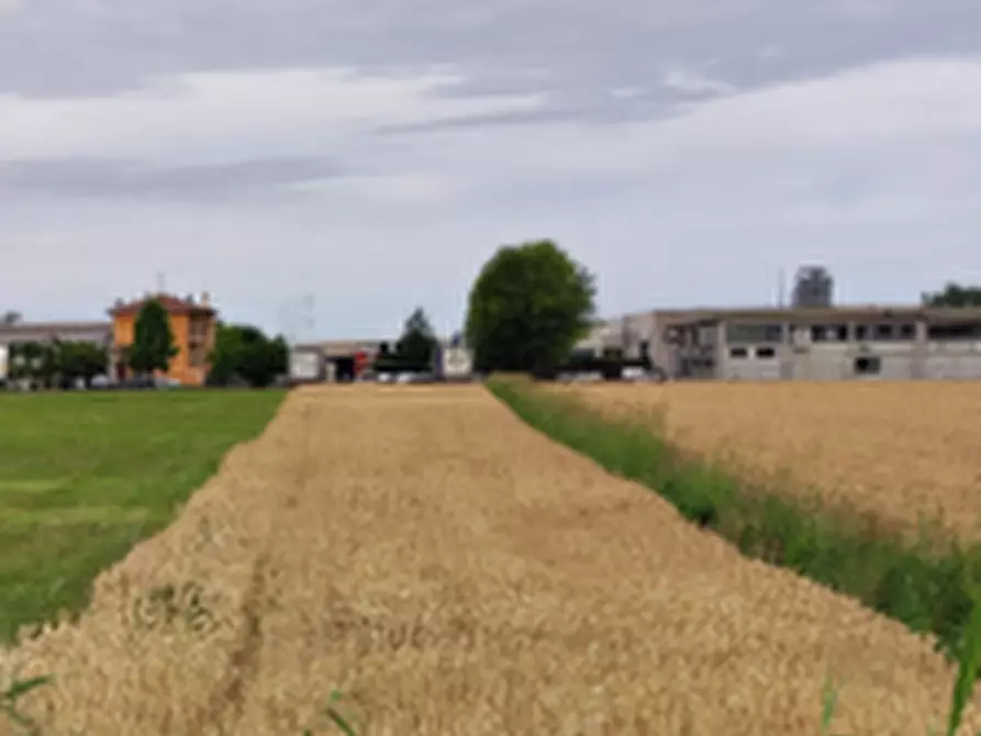 Immagine 3 di Terreno agricolo in vendita  in Localita' Romitaggio a Fontevivo