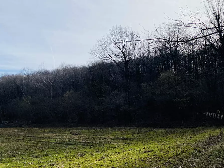 Immagine 2 di Terreno agricolo in vendita  in Località Rosta a Rosta