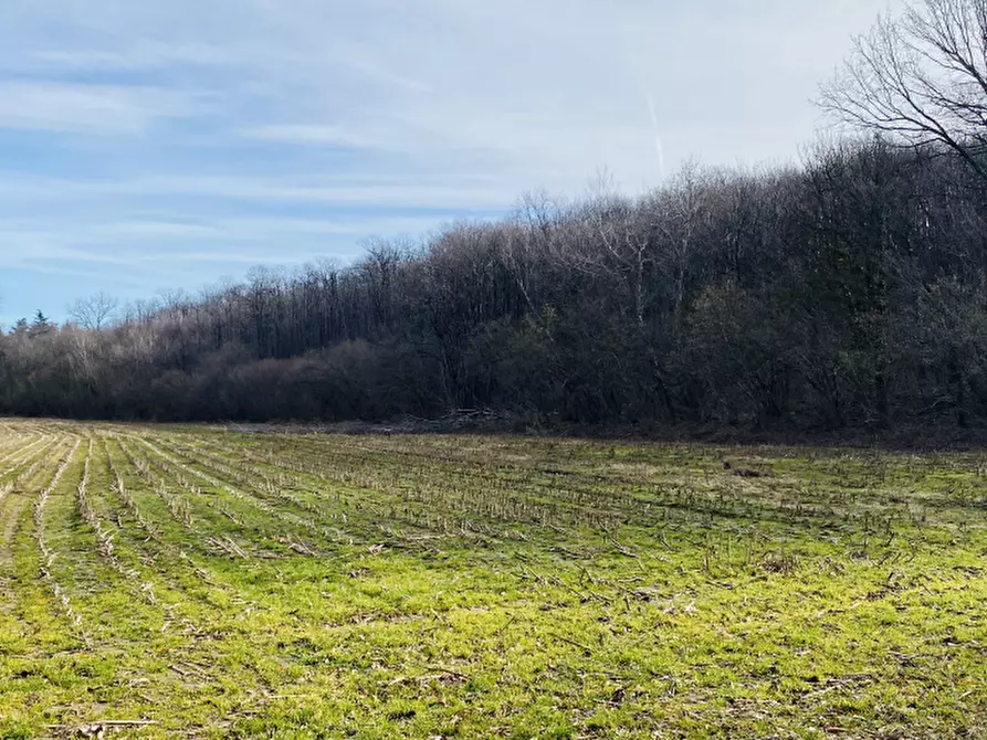 Immagine 1 di Terreno agricolo in vendita  in Località Rosta a Rosta