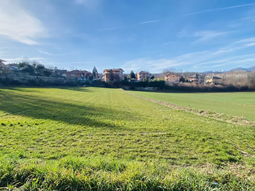 Immagine 3 di Terreno agricolo in vendita  in Località Rosta a Rosta