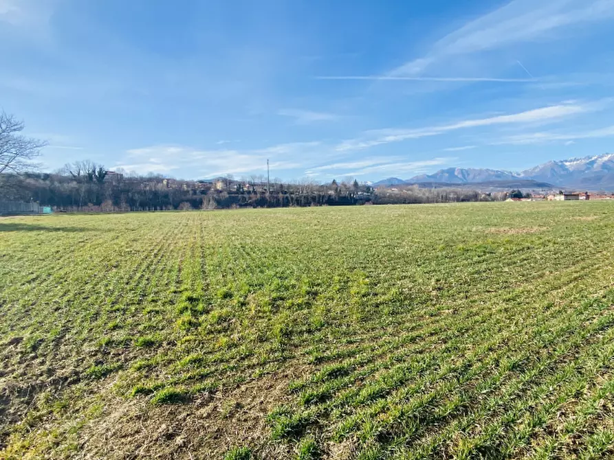 Immagine 4 di Terreno agricolo in vendita  in Località Rosta a Rosta