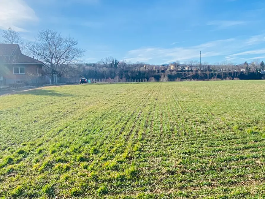 Immagine 5 di Terreno agricolo in vendita  in Località Rosta a Rosta