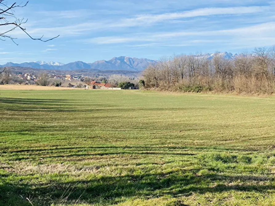 Immagine 3 di Terreno agricolo in vendita  in Località Rosta a Rosta