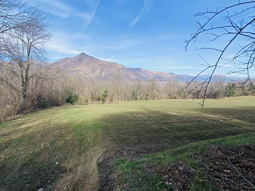 Immagine 4 di Terreno agricolo in vendita  in Località Rosta a Rosta