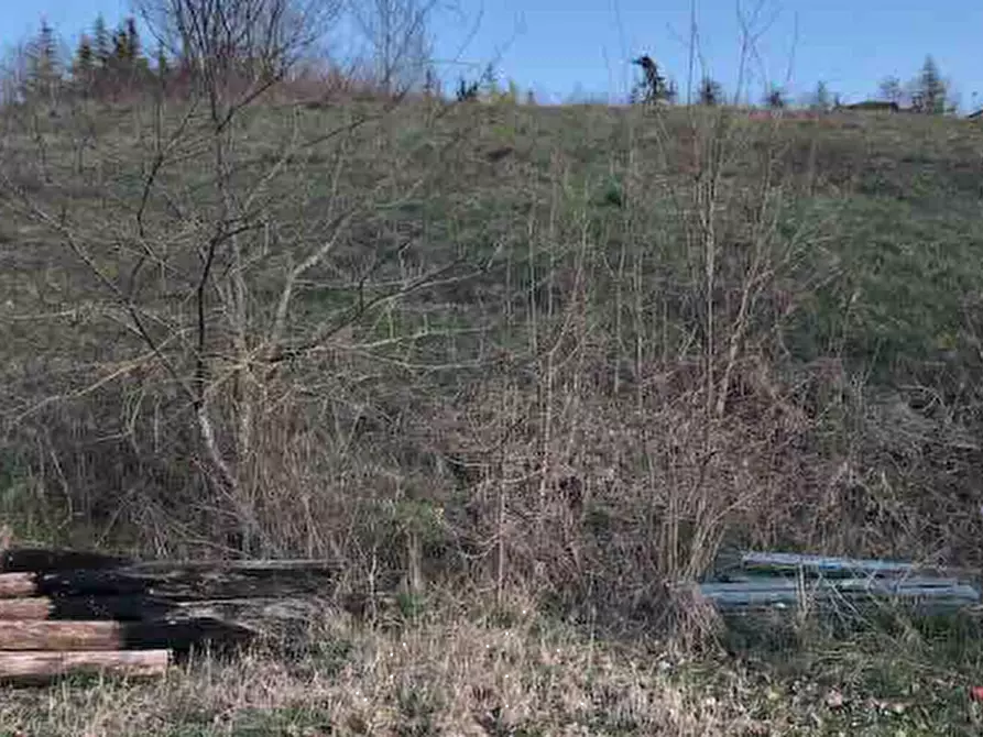 Immagine 2 di Terreno edificabile in vendita  in Località Boffalora a Gazzola