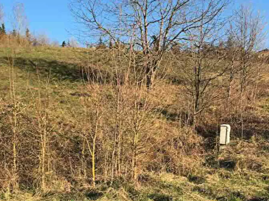 Immagine 3 di Terreno edificabile in vendita  in Località Boffalora a Gazzola