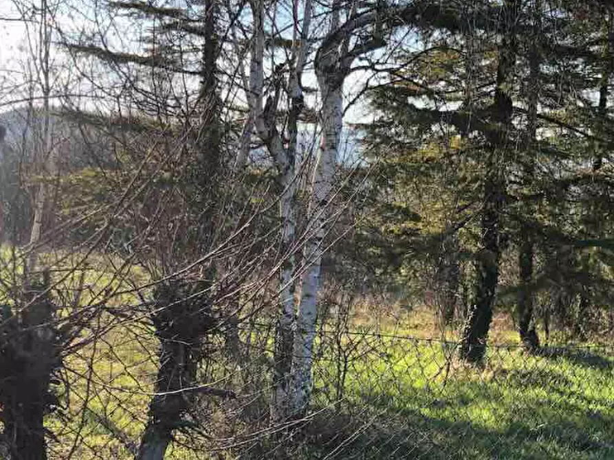Immagine 3 di Terreno edificabile in vendita  in Località Boffalora a Gazzola