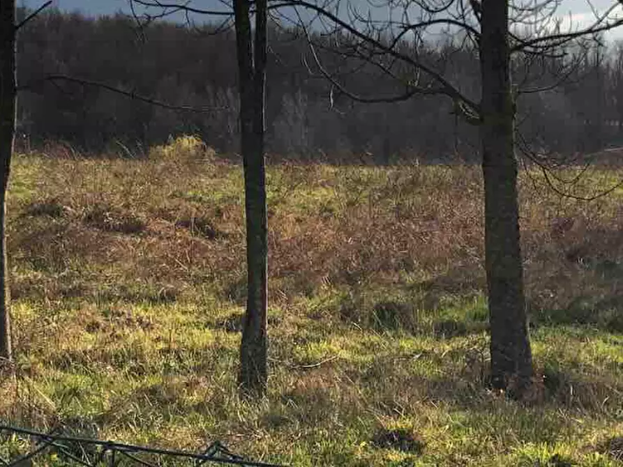 Immagine 4 di Terreno edificabile in vendita  in Località Boffalora a Gazzola