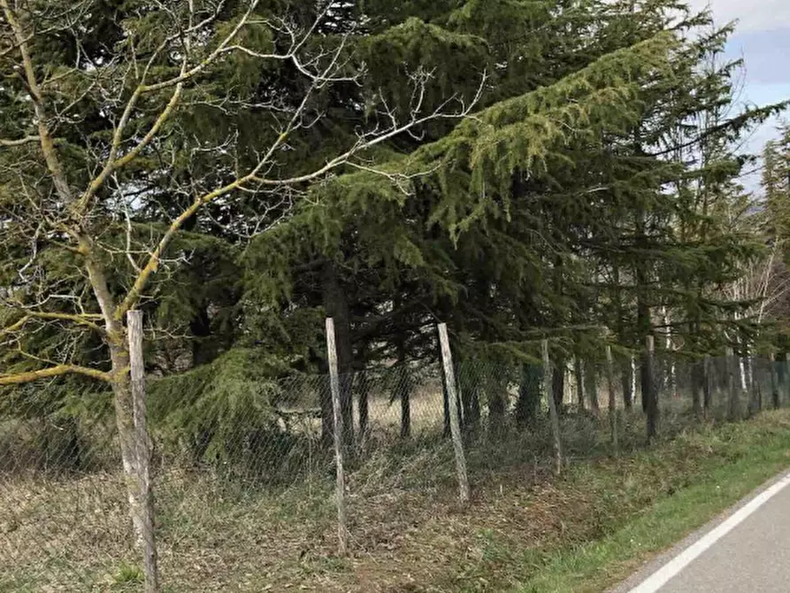 Immagine 5 di Terreno edificabile in vendita  in Località Boffalora a Gazzola