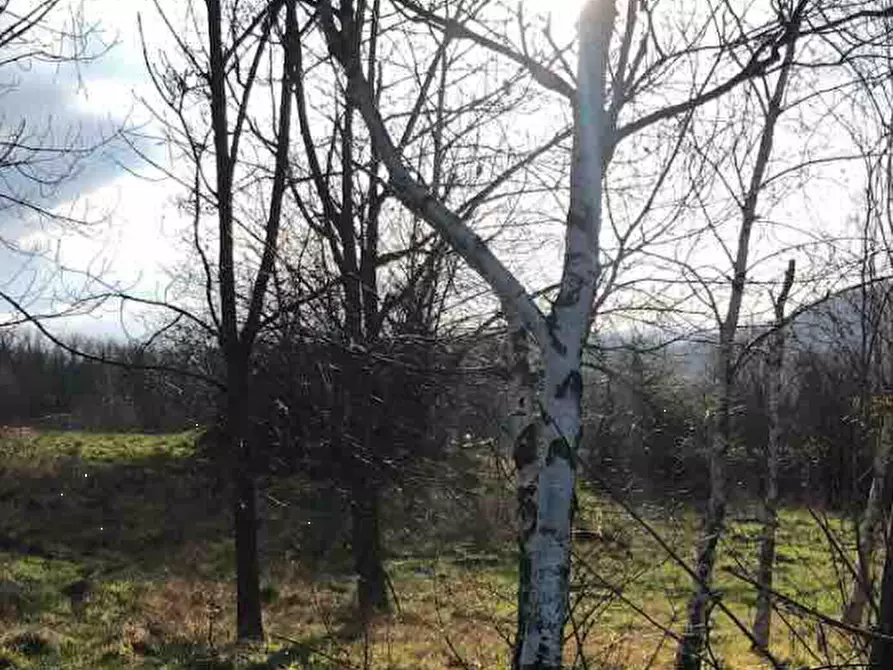 Immagine 2 di Terreno edificabile in vendita  in Località Boffalora a Gazzola