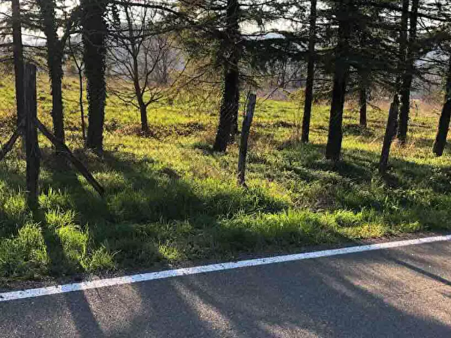 terreno edificabile in vendita a Gazzola