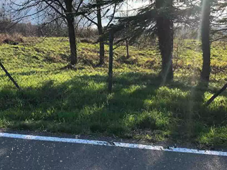 Immagine 2 di Terreno edificabile in vendita  in Località Boffalora a Gazzola