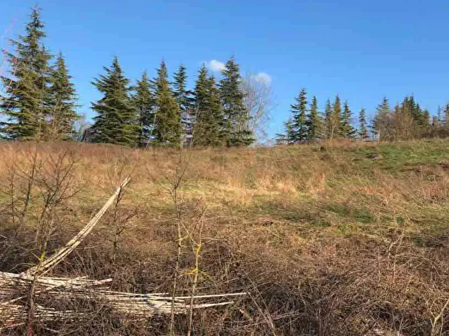 Immagine 3 di Terreno edificabile in vendita  in Località Boffalora a Gazzola