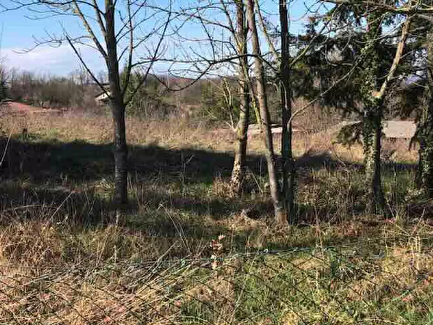 terreno edificabile in vendita a Gazzola