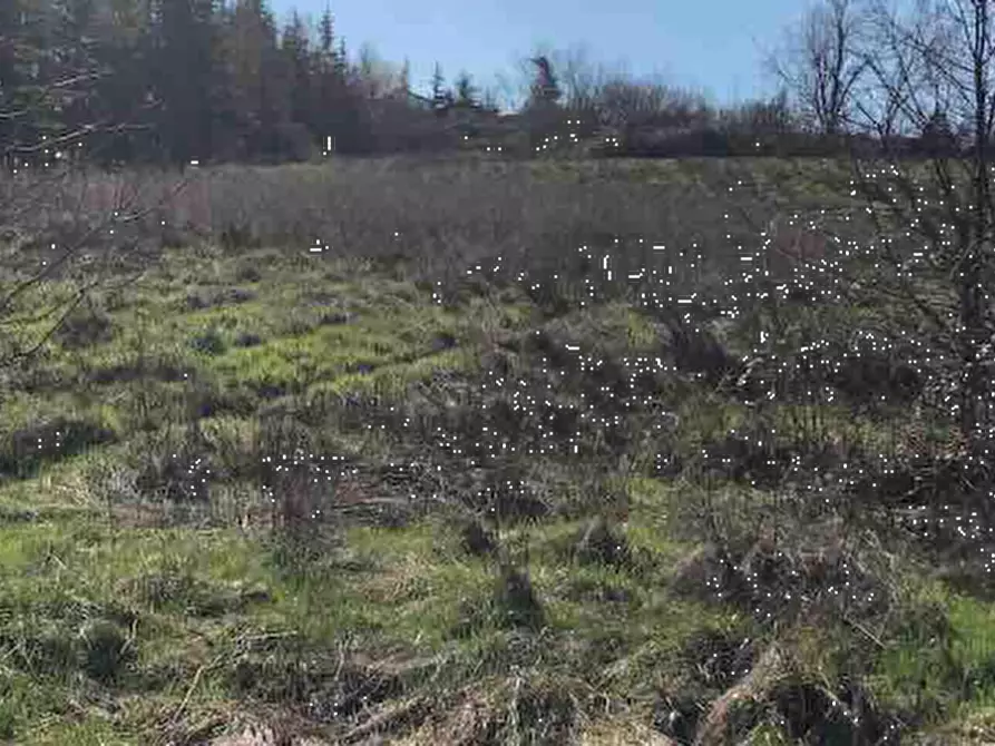 Immagine 2 di Terreno edificabile in vendita  in Località Boffalora a Gazzola