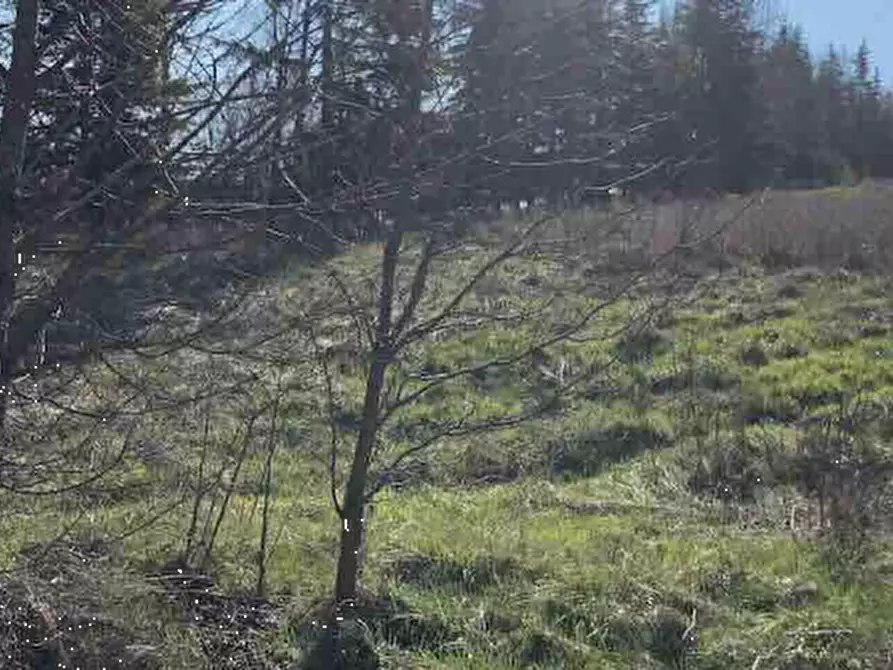 Immagine 3 di Terreno edificabile in vendita  in Località Boffalora a Gazzola