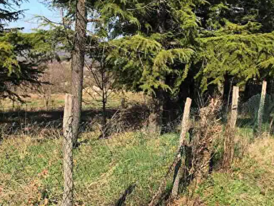 Immagine 4 di Terreno edificabile in vendita  in Località Boffalora a Gazzola