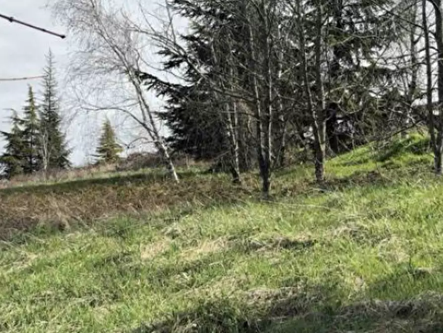 Immagine 4 di Terreno edificabile in vendita  in Località Boffalora a Gazzola
