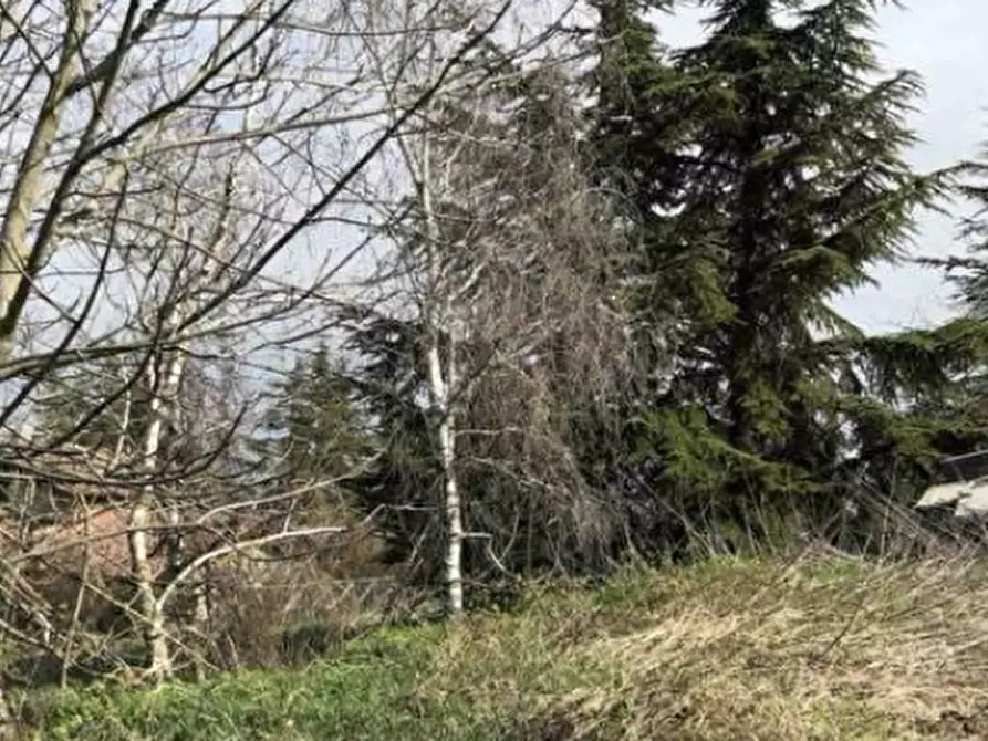 Immagine 5 di Terreno edificabile in vendita  in Località Boffalora a Gazzola
