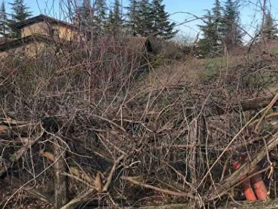 Immagine 6 di Terreno edificabile in vendita  in Località Boffalora a Gazzola