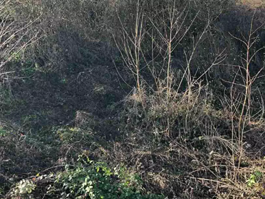 Immagine 2 di Terreno edificabile in vendita  in Località Rezzanello a Gazzola
