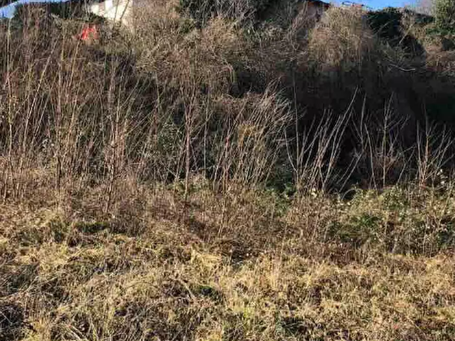 terreno edificabile in vendita a Gazzola in zona Rezzanello