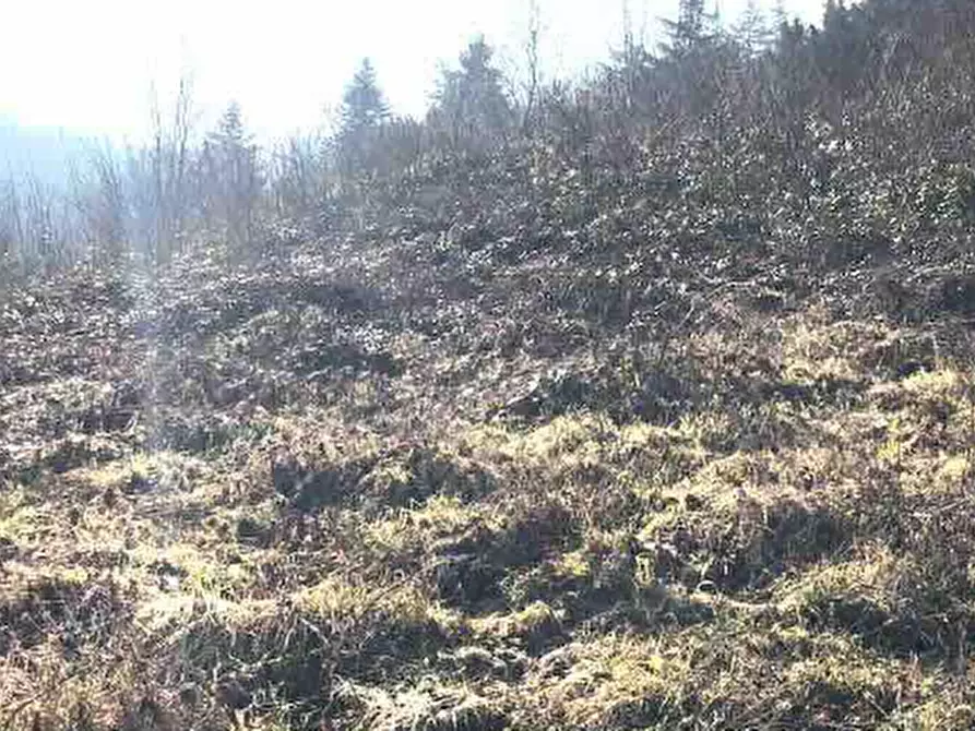 Immagine 2 di Terreno edificabile in vendita  in Località Rezzanello a Gazzola