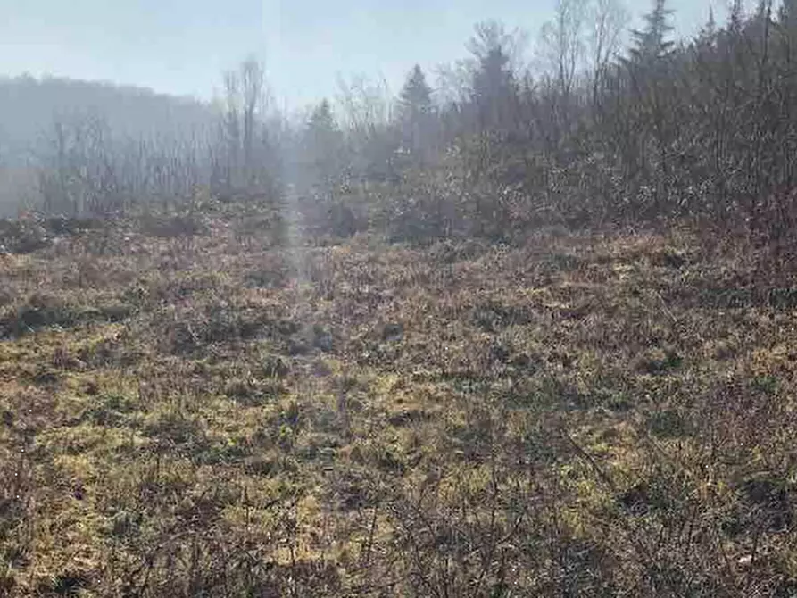 Immagine 1 di Terreno edificabile in vendita  in Località Rezzanello a Gazzola