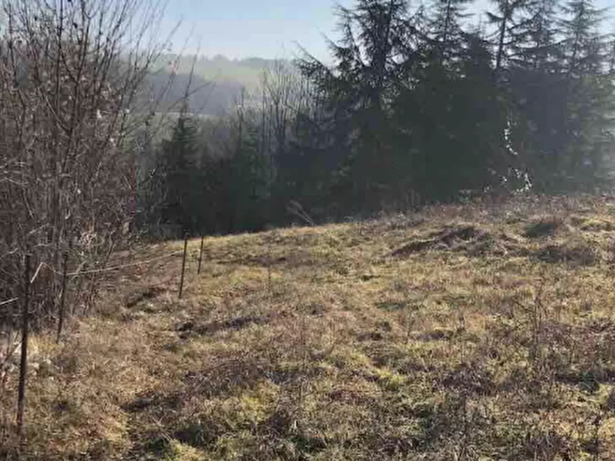 Immagine 2 di Terreno edificabile in vendita  in Località Rezzanello a Gazzola
