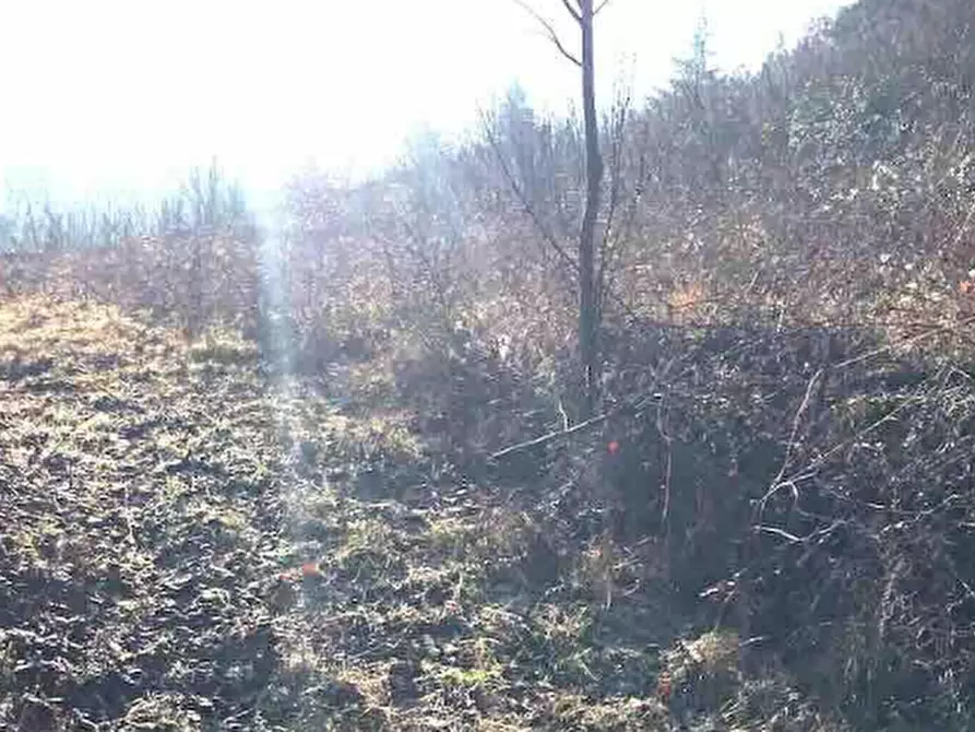 Immagine 3 di Terreno edificabile in vendita  in Località Rezzanello a Gazzola