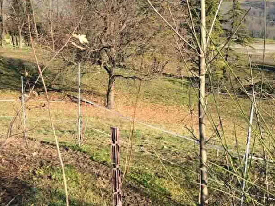 Immagine 3 di Terreno edificabile in vendita  in Località Rezzanello a Gazzola