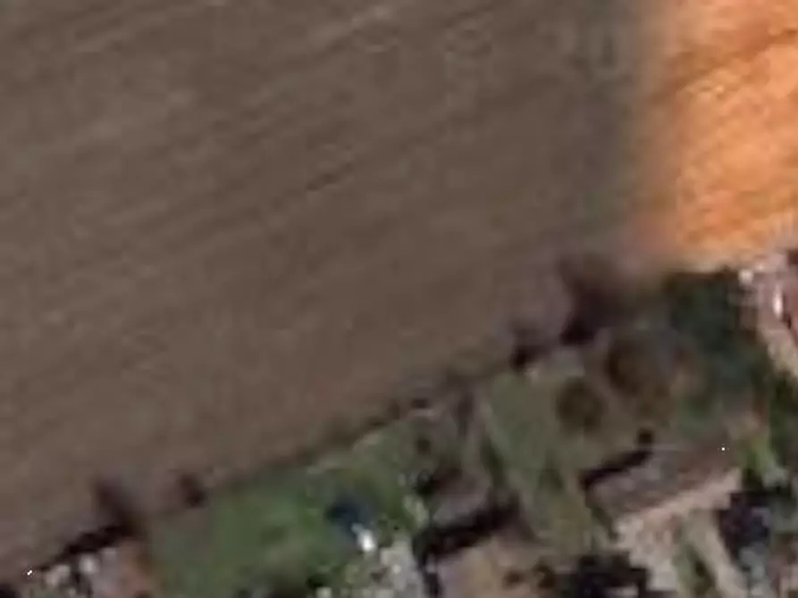 Immagine 14 di Negozio in vendita  in Via Centrale a Portomaggiore